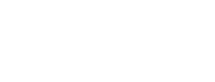 Logo Numérologie Stratégique®